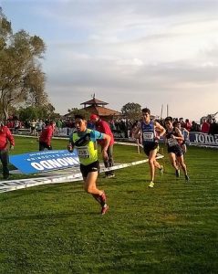 WP_20170226_09_14_26_Pro (Copy)